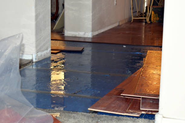 Professional Emergency Water Damage Restoration technician working in Crystal Beach, FL